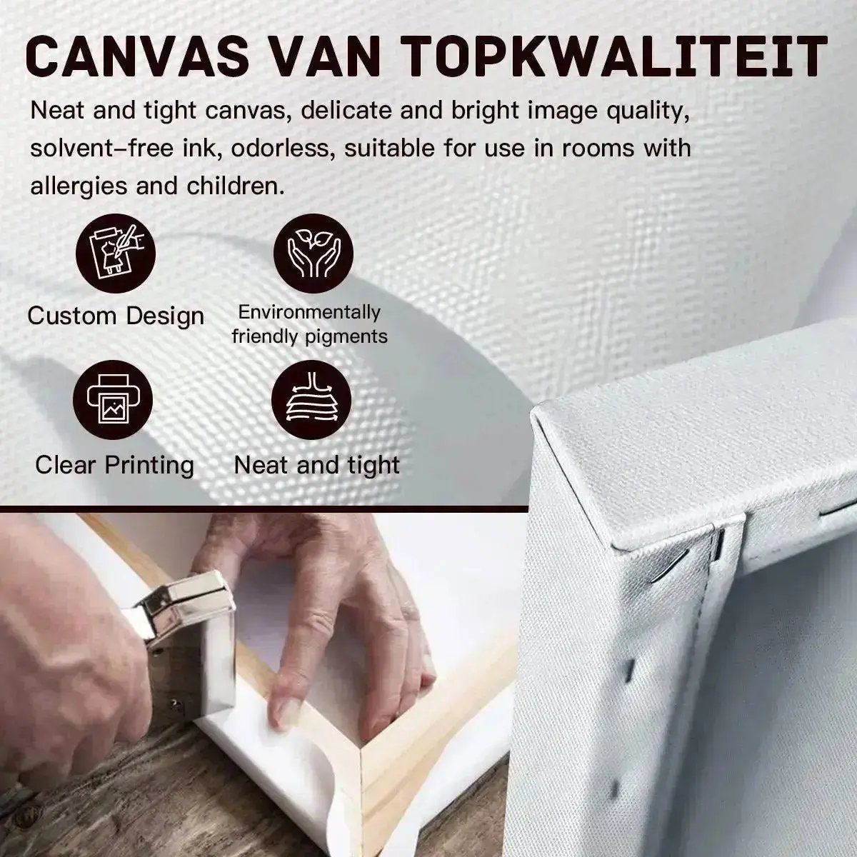 autism\specialneed - spectrum - sparks